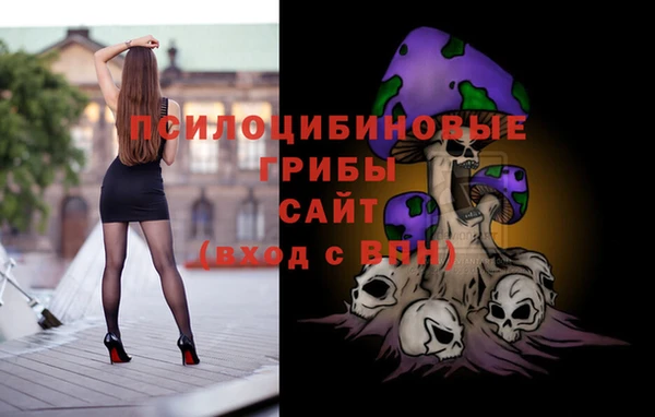 амф Дмитровск