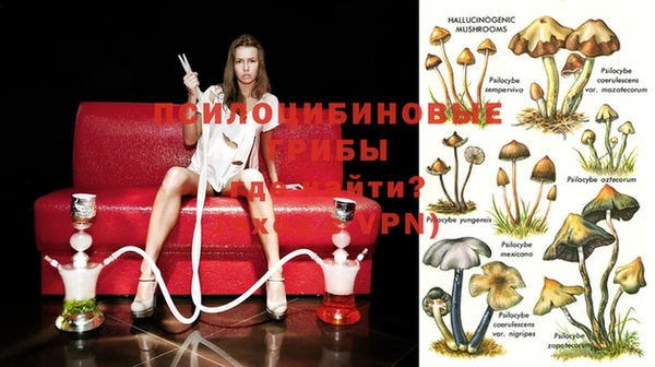 кристаллы Дмитров
