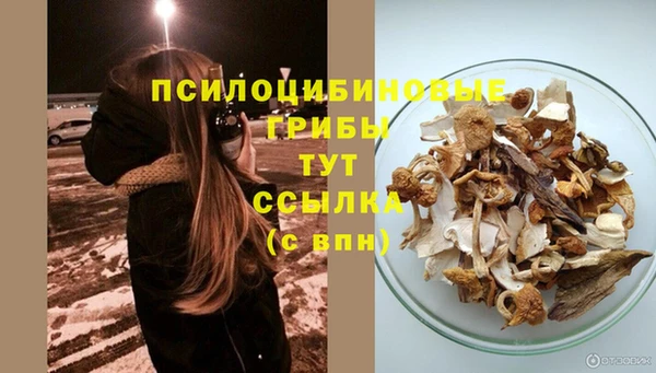 ПСИЛОЦИБИНОВЫЕ ГРИБЫ Дегтярск