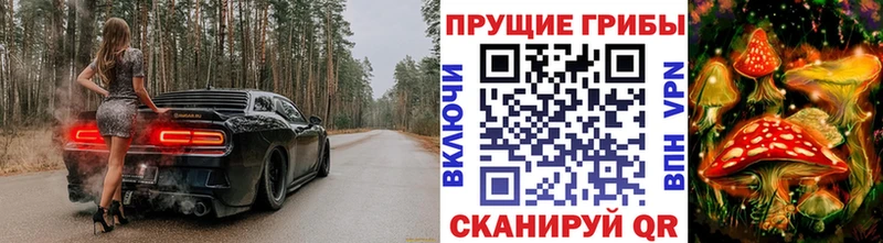 OMG маркетплейс  Дмитровск  Галлюциногенные грибы Psilocybe 